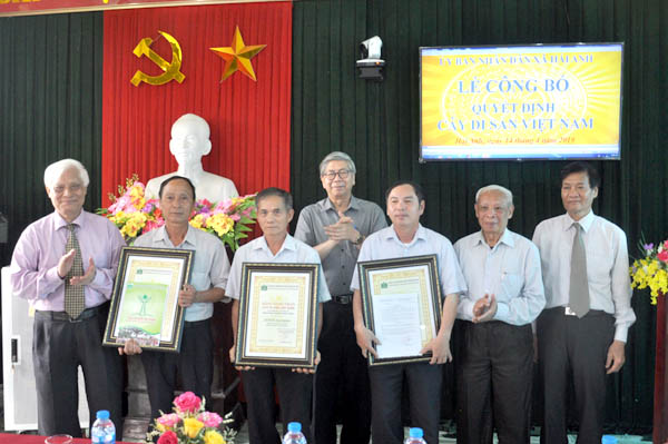 Nam[-]Định:[-]Xã[-]Hải[-]Anh[-]đón[-]Bằng[-]công[-]nhận[-]cây[-]Di[-]sản[-]Việt[-]Nam[-]nhân[-]ngày[-]Giỗ[-]tổ[-]Hùng[-]Vương